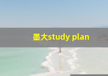 墨大study plan